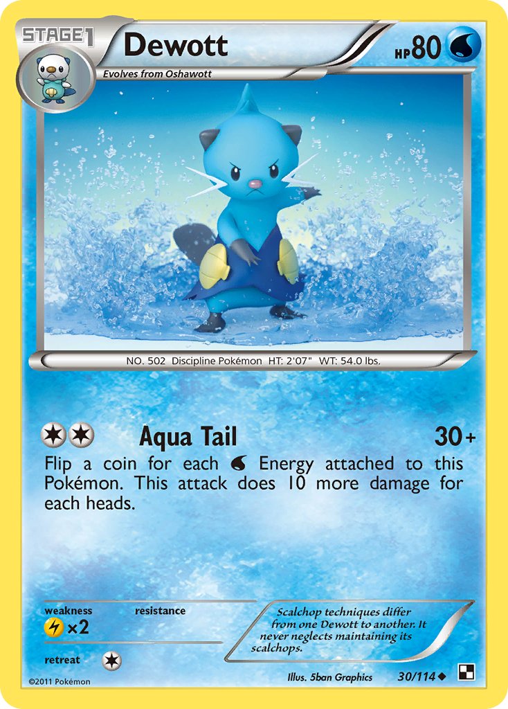 #030 Dewott