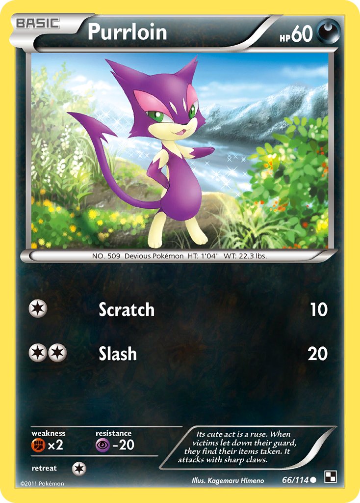 #066 Purrloin