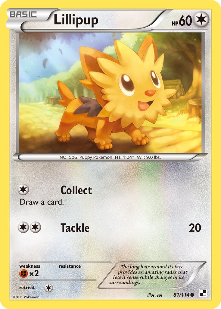 #081 Lillipup