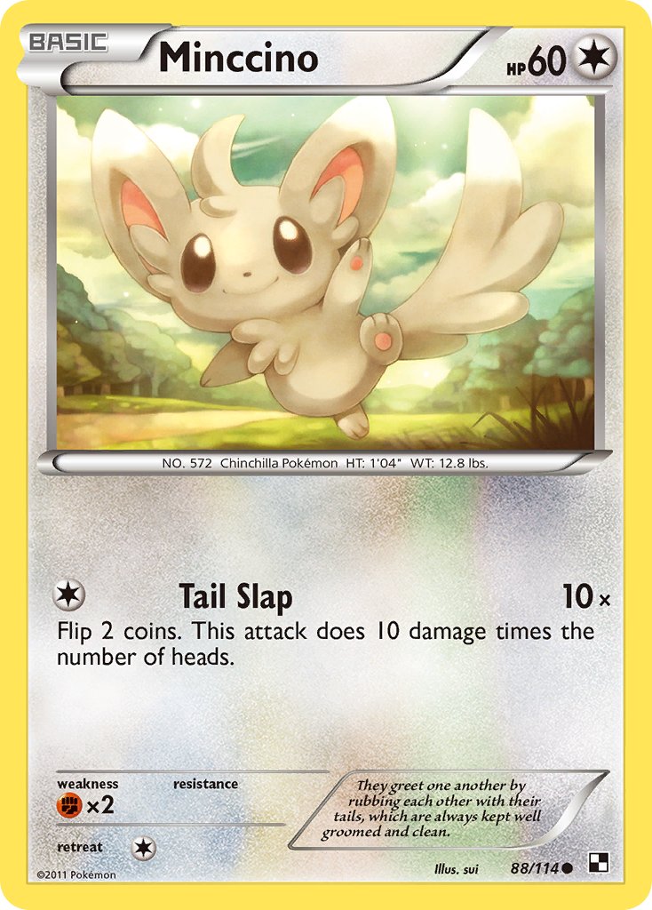 #088 Minccino