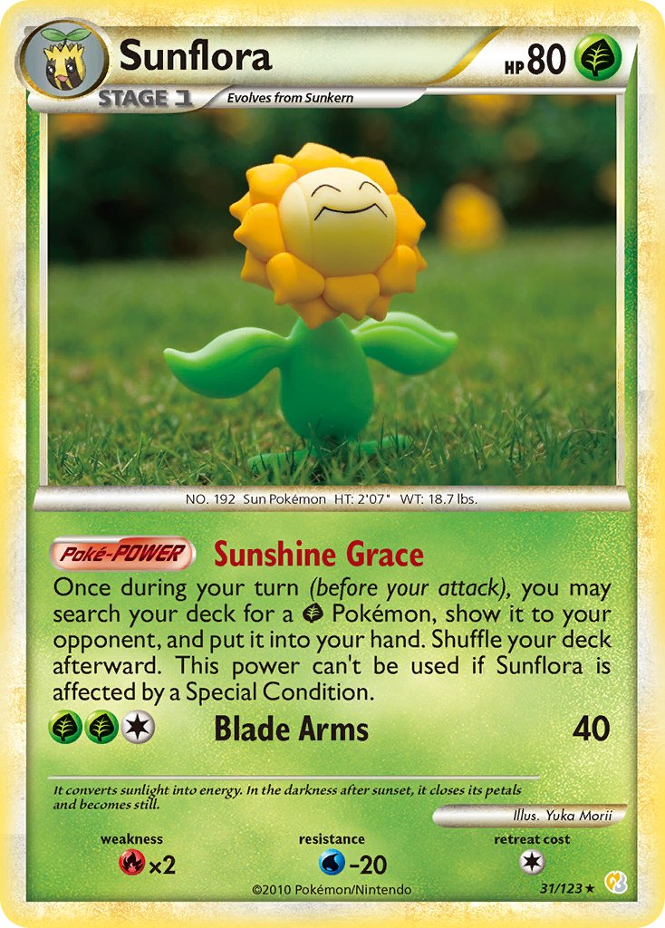 #031 Sunflora