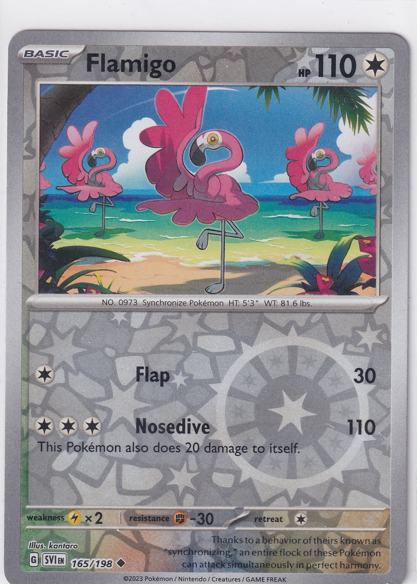 #165 Flamigo