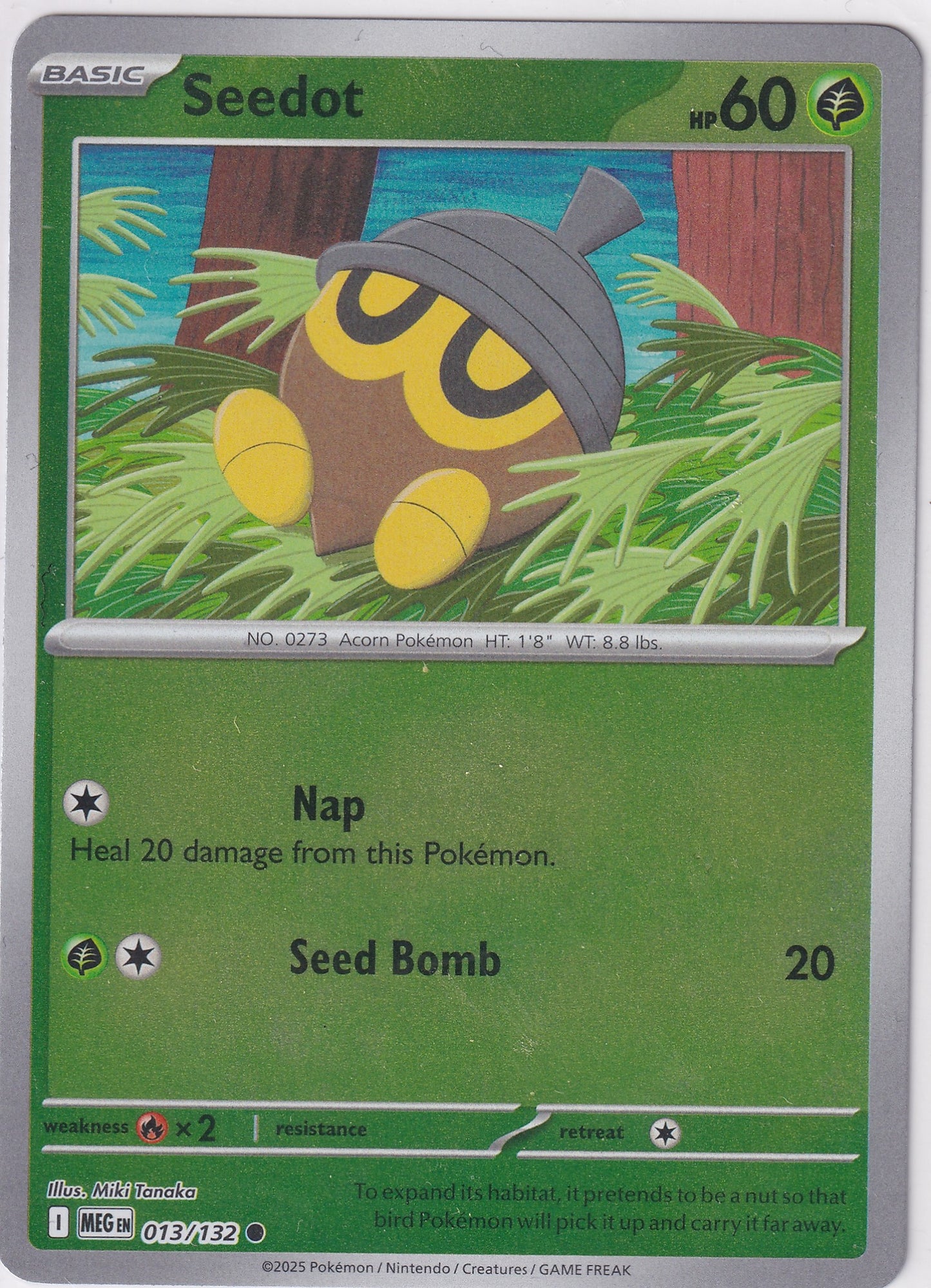 #013 Seedot