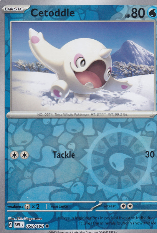 #058 Cetoddle