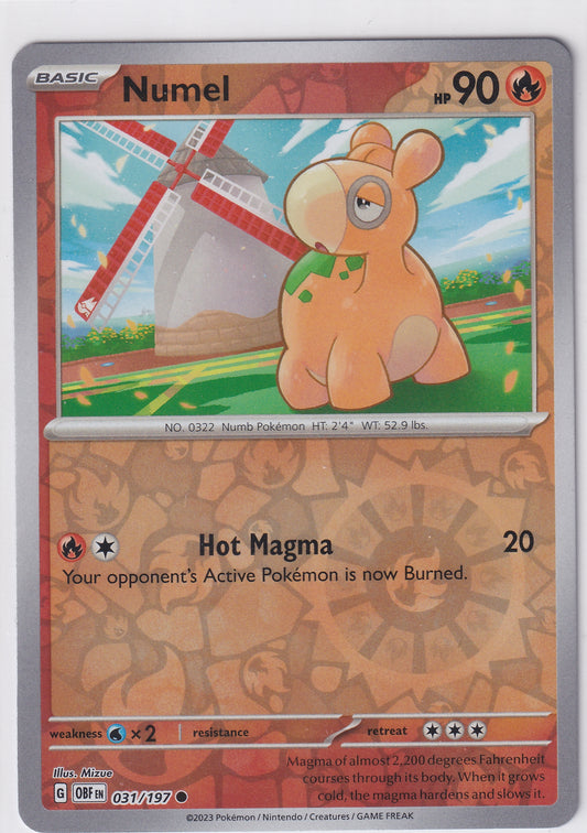 #031 Numel