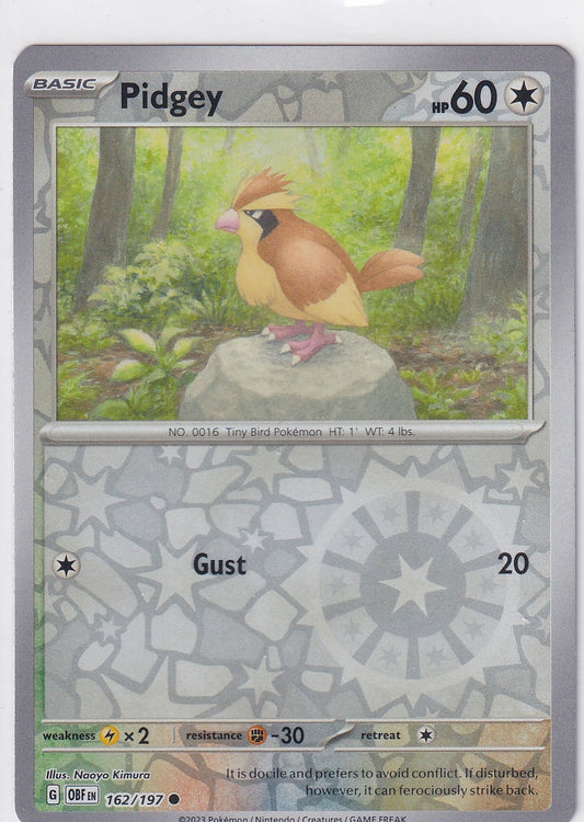 #162 Pidgey