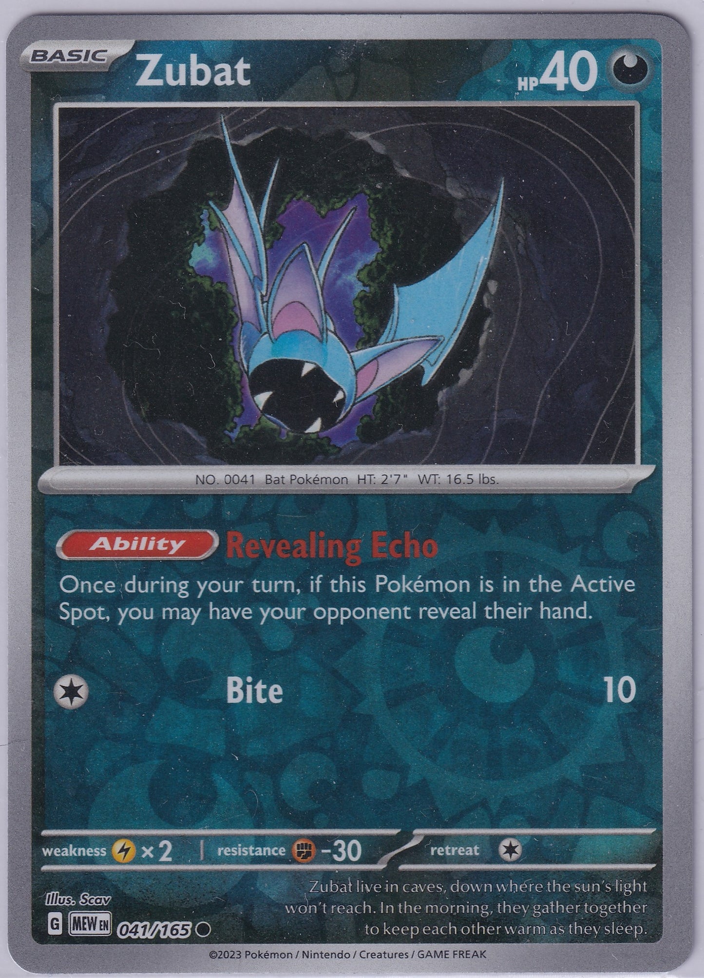 #041 Zubat