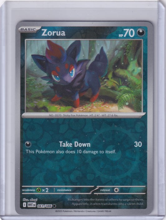#061 Zorua