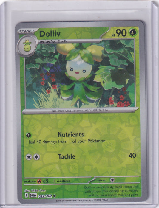 #022 Dolliv