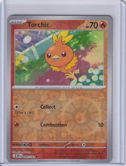 #040 Torchic