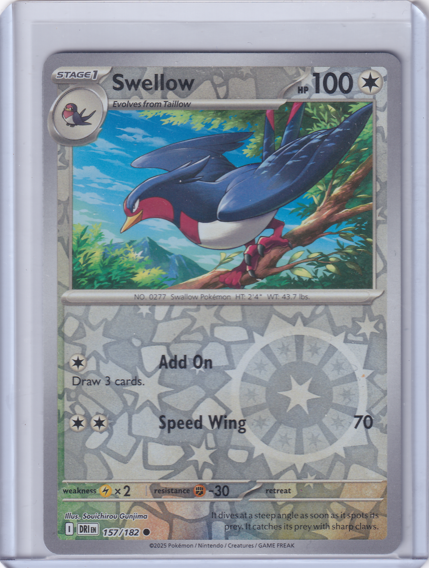 #157 Swellow