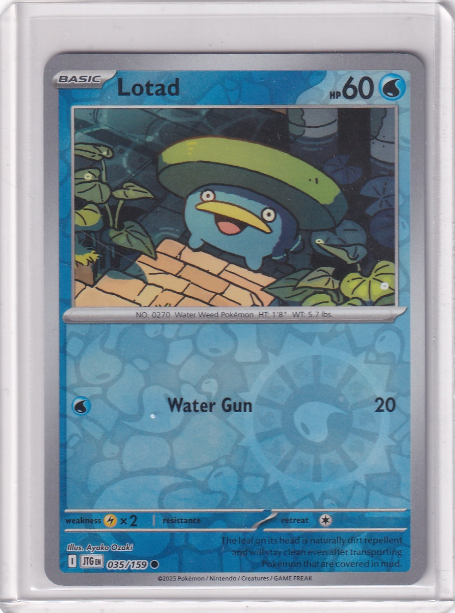 #035 Lotad