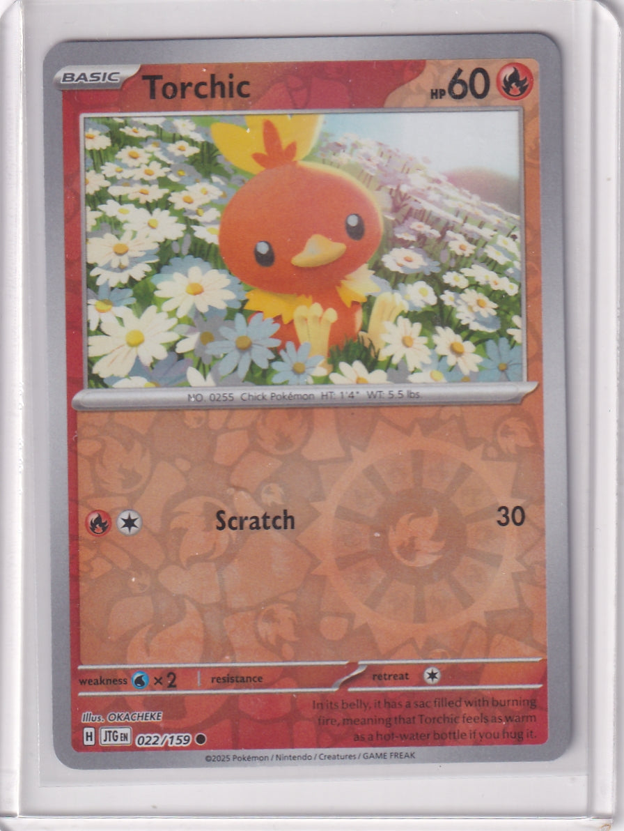 #022 Torchic
