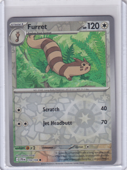 #119 Furret