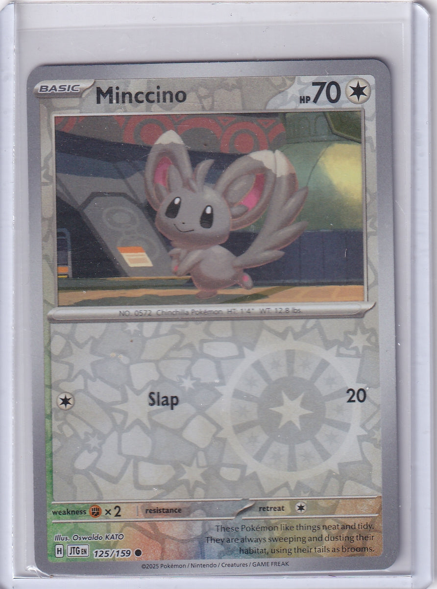 #125 Minccino