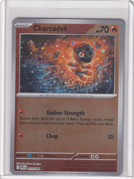 #019 Charcadet