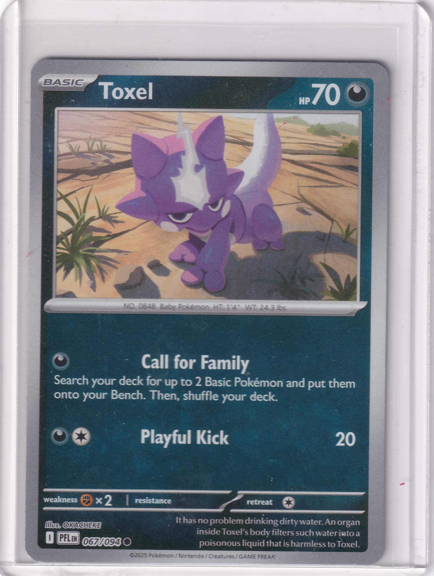 #067 Toxel