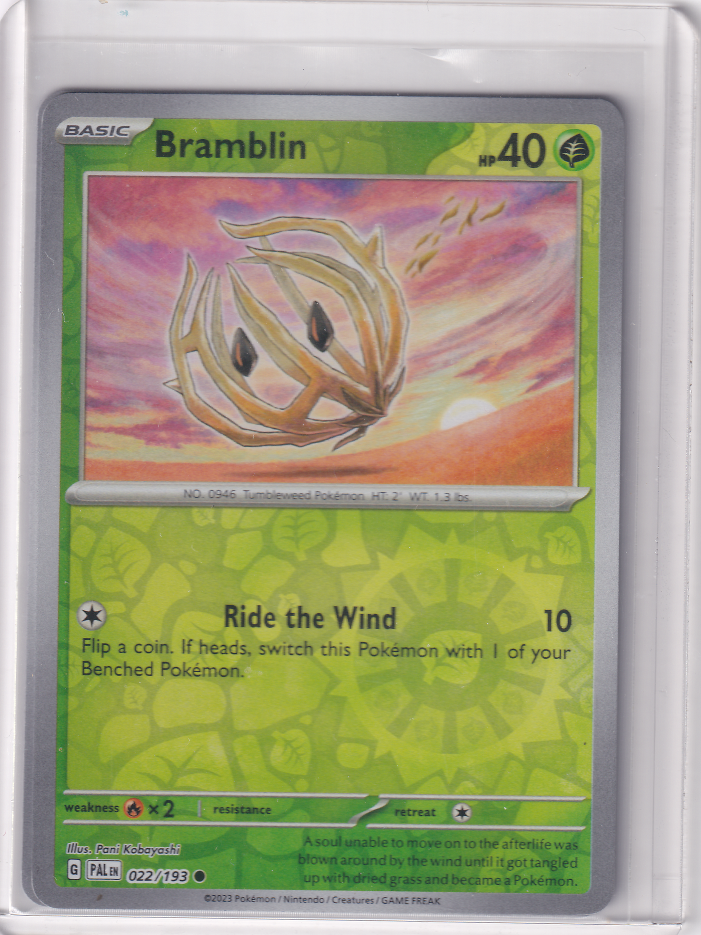 #022 Bramblin