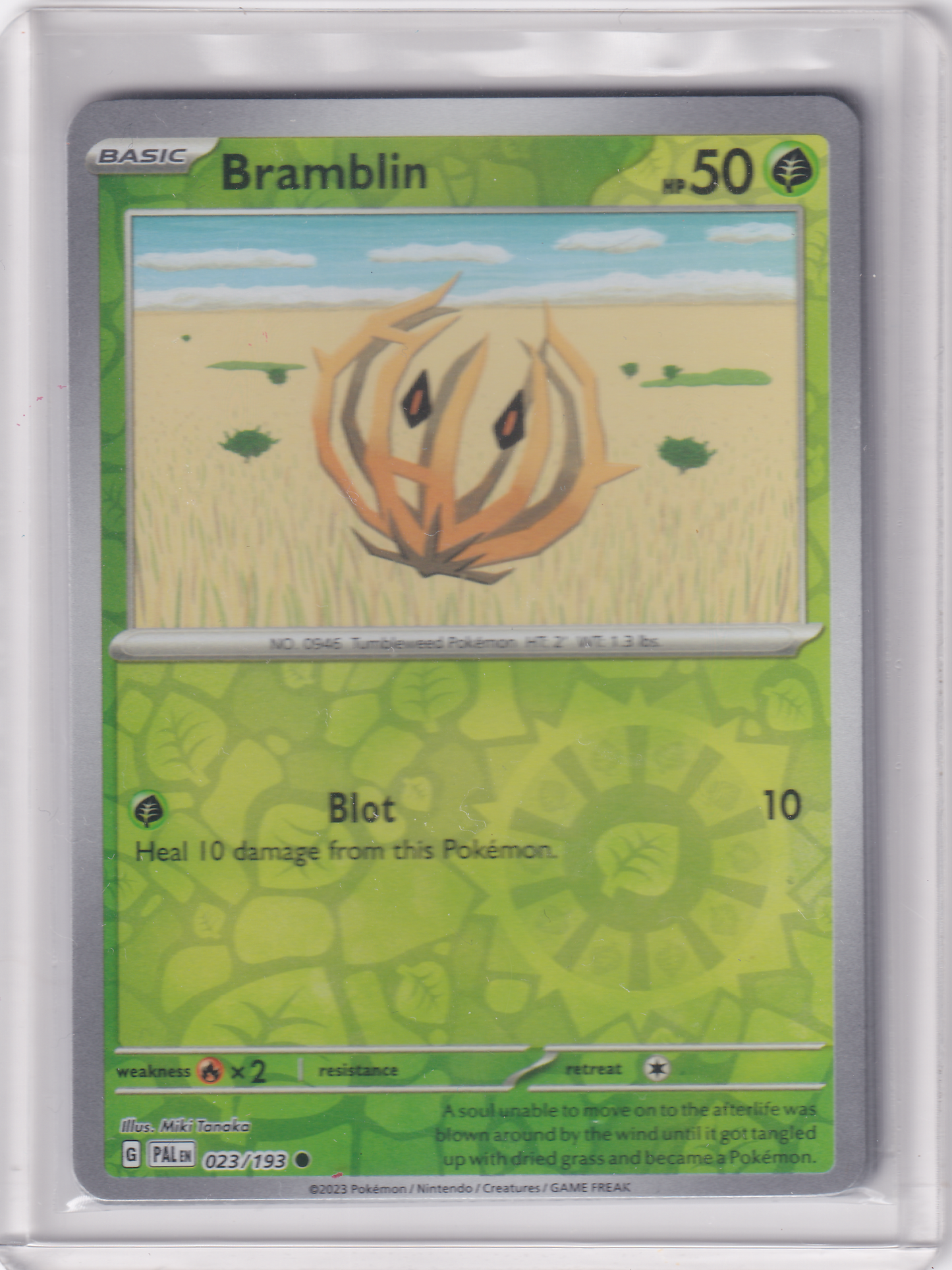 #023 Bramblin