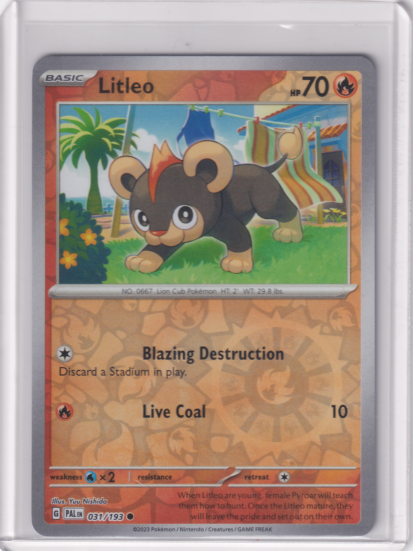 #031 Litleo