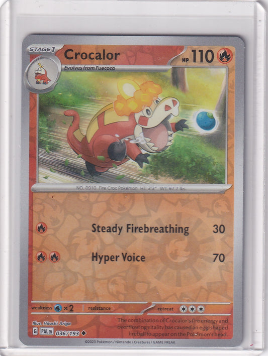 #036 Crocalor