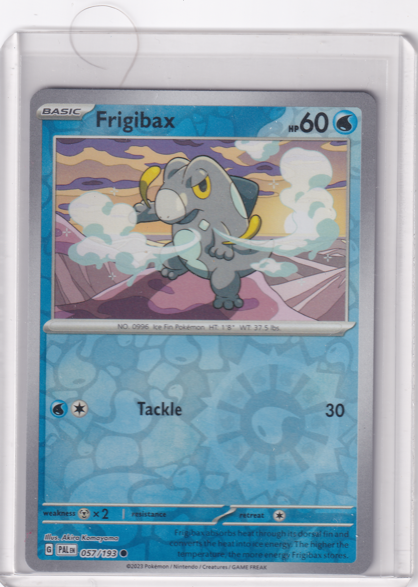 #057 Frigibax