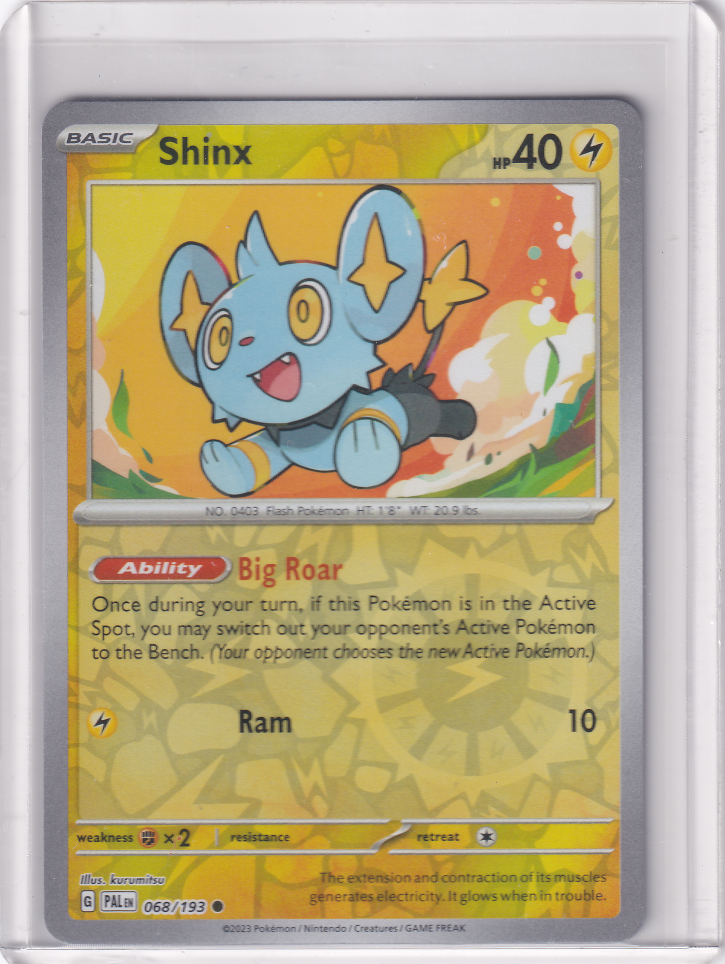 #068 Shinx