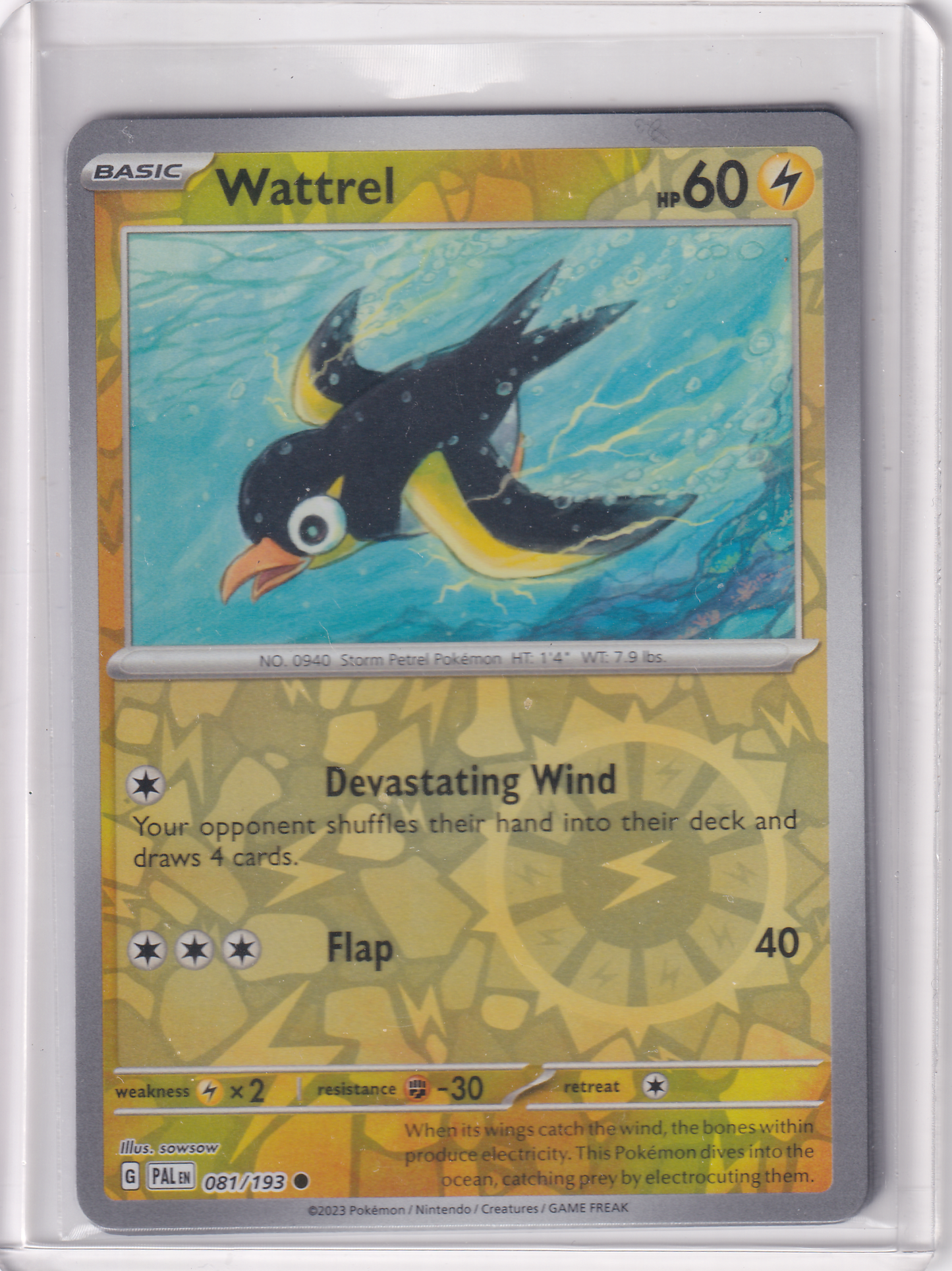 #081 Wattrel