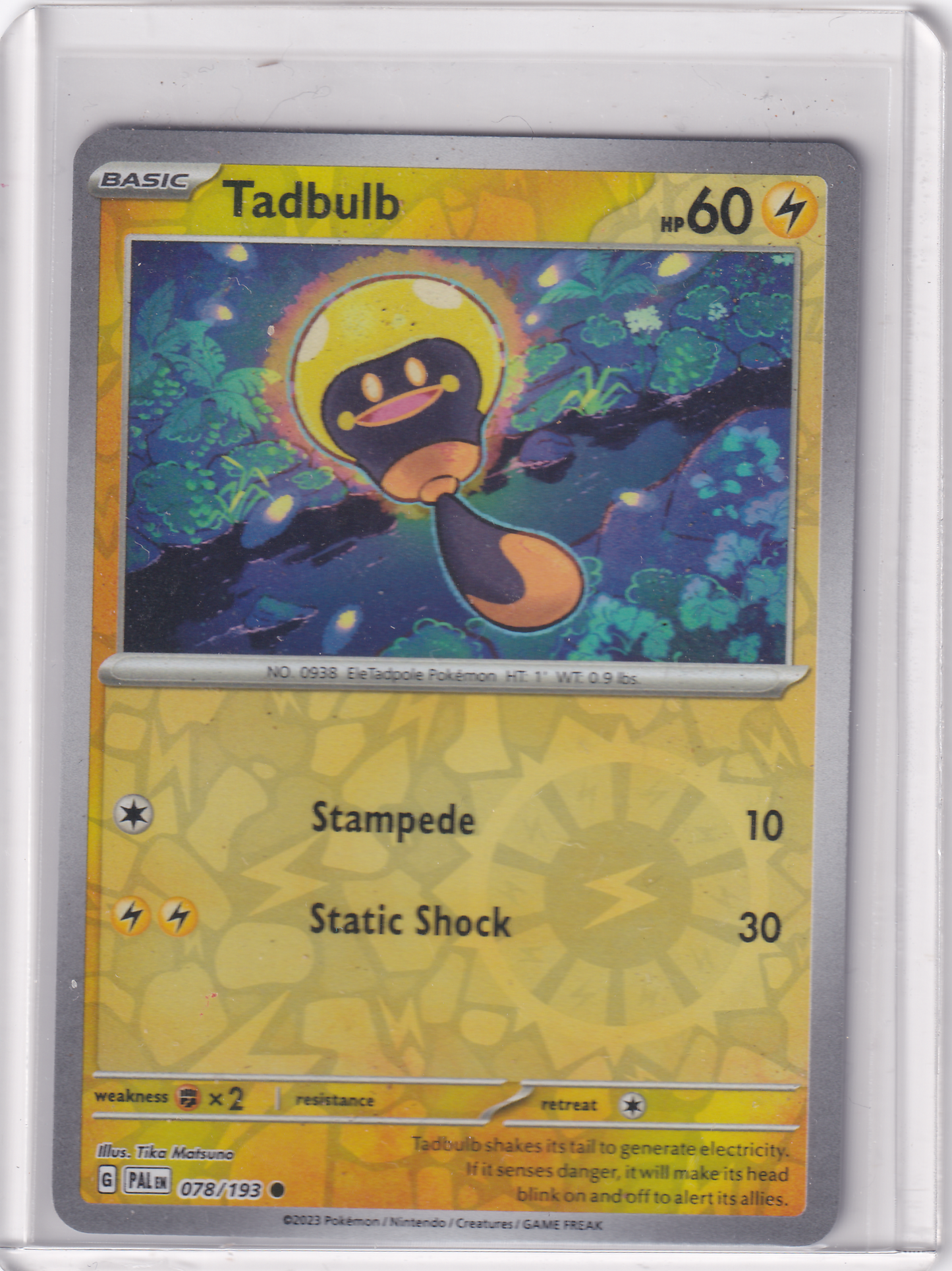 #078 Tadbulb