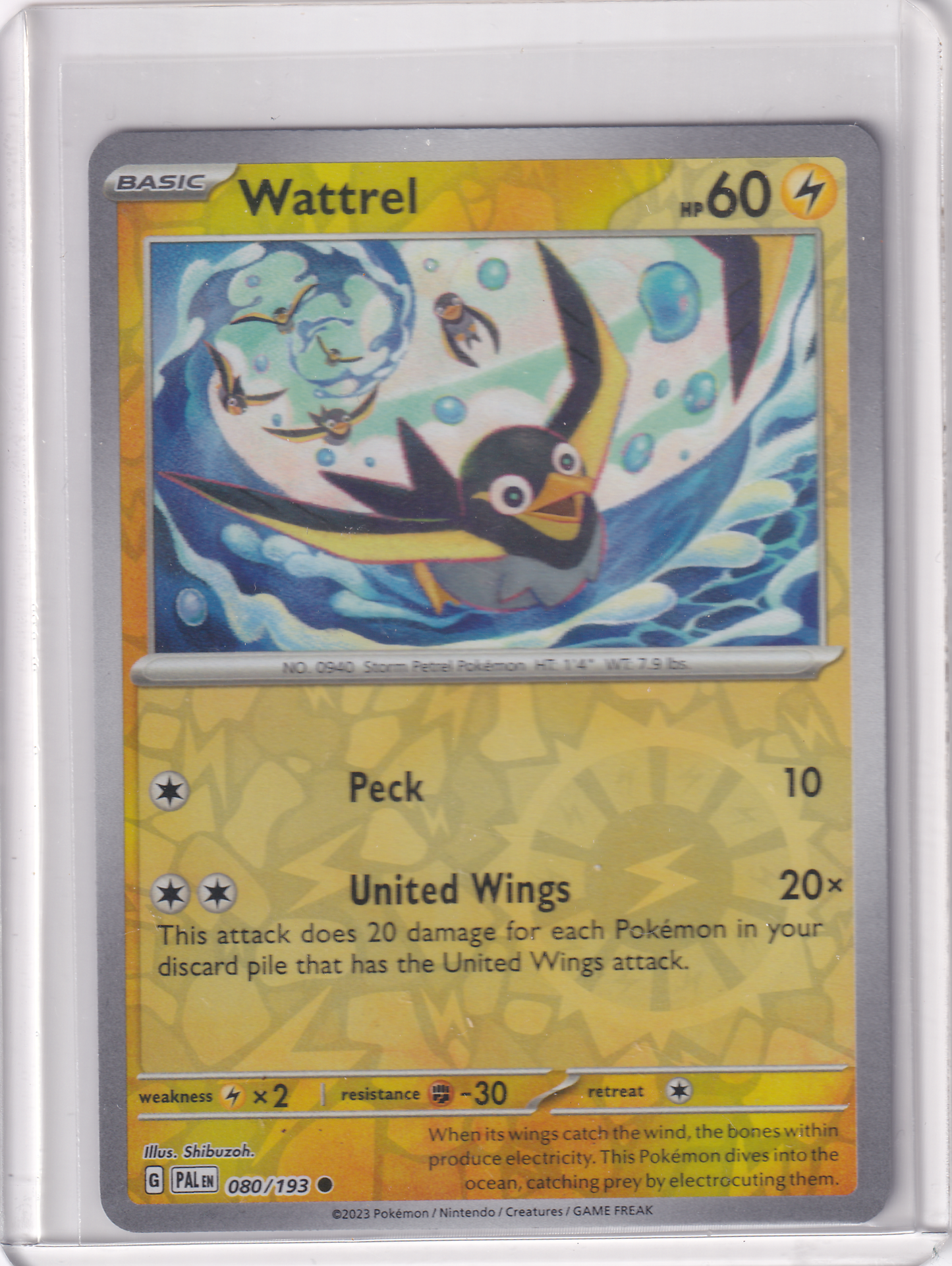 #080 Wattrel