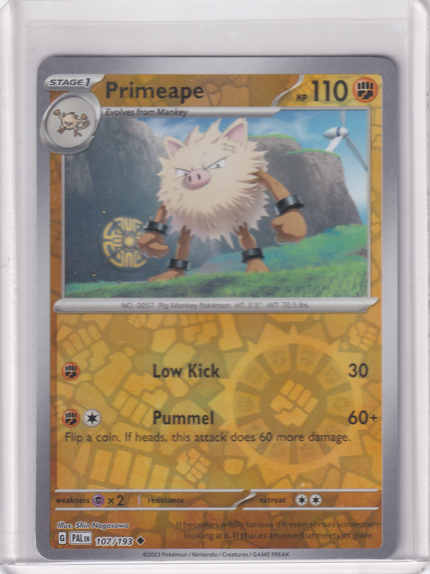 #107 Primeape