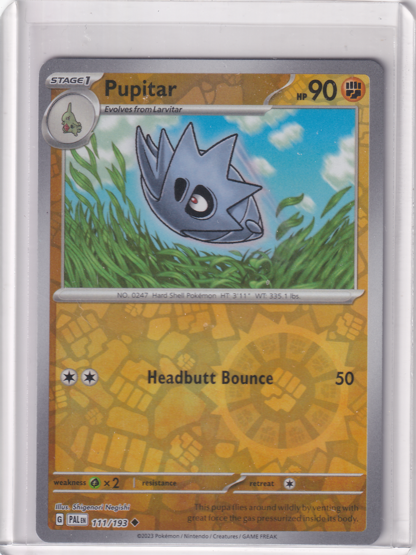 #111 Pupitar
