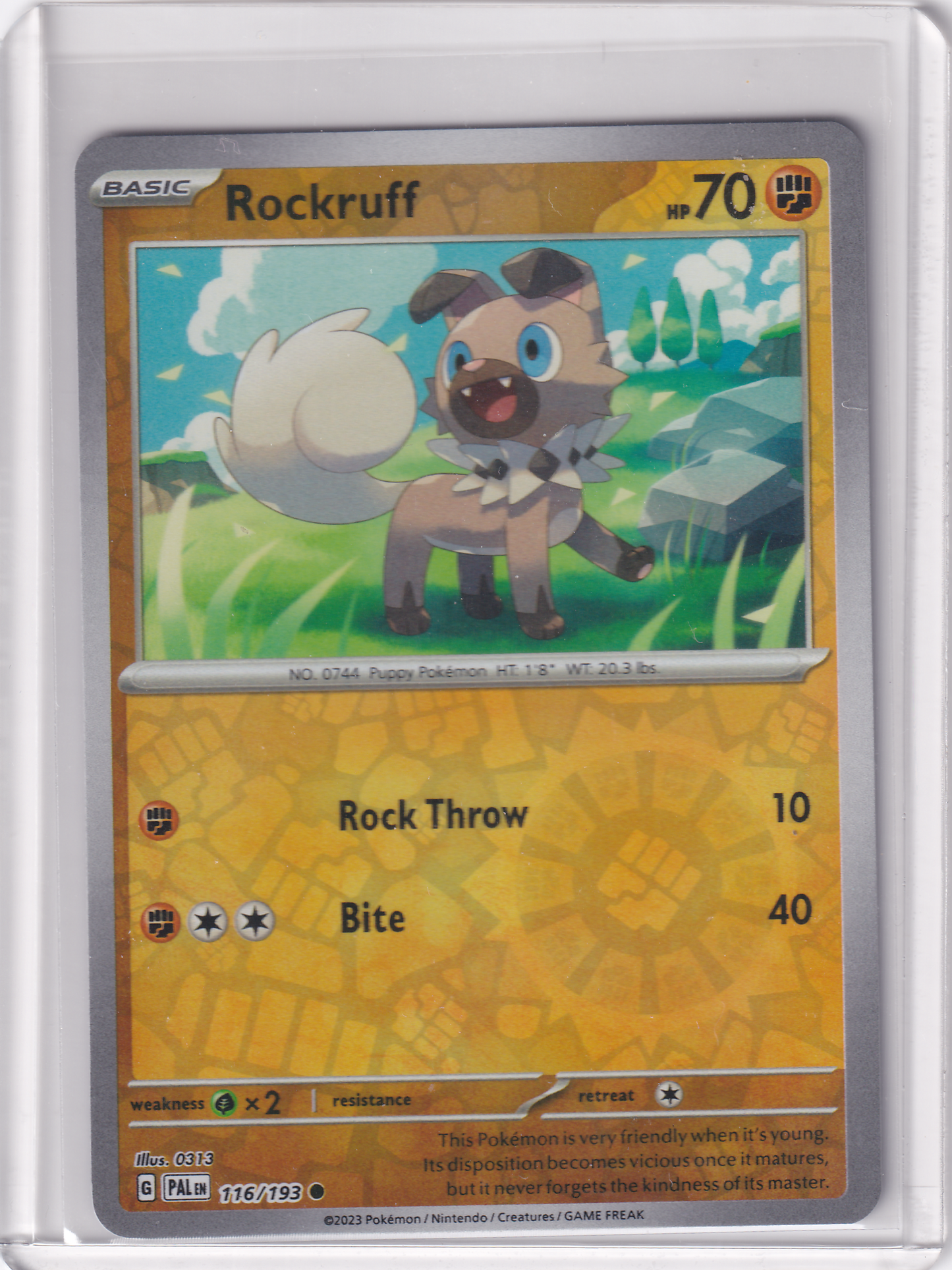 #116 Rockruff