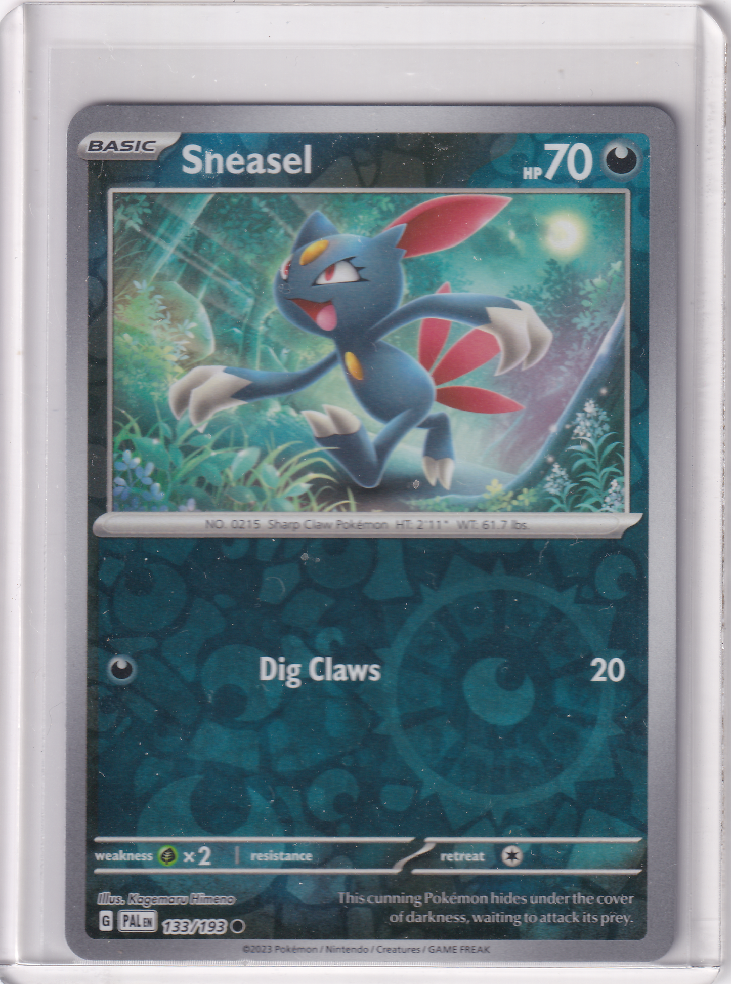 #133 Sneasel
