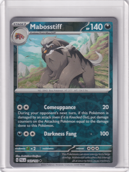 #143 Mabosstiff