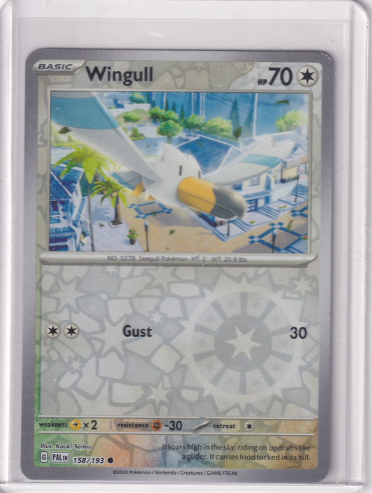 #158 Wingull