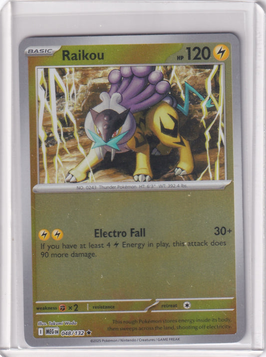 #048 Raikou