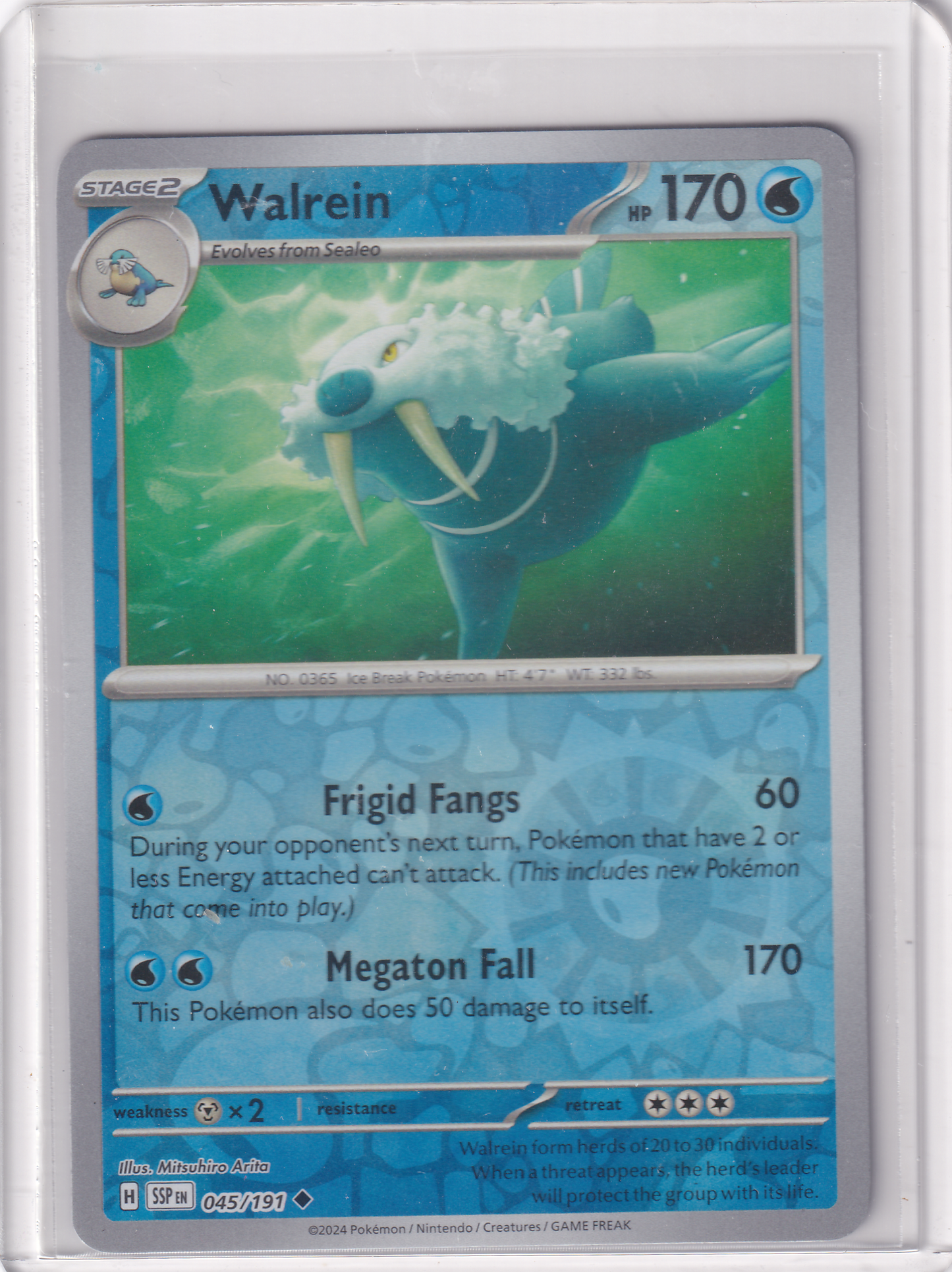 #045 Walrein