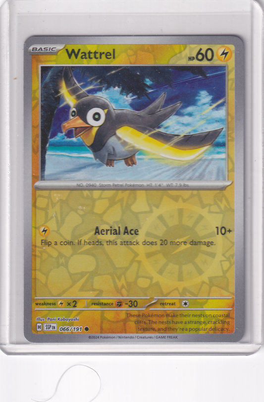 #066 Wattrel