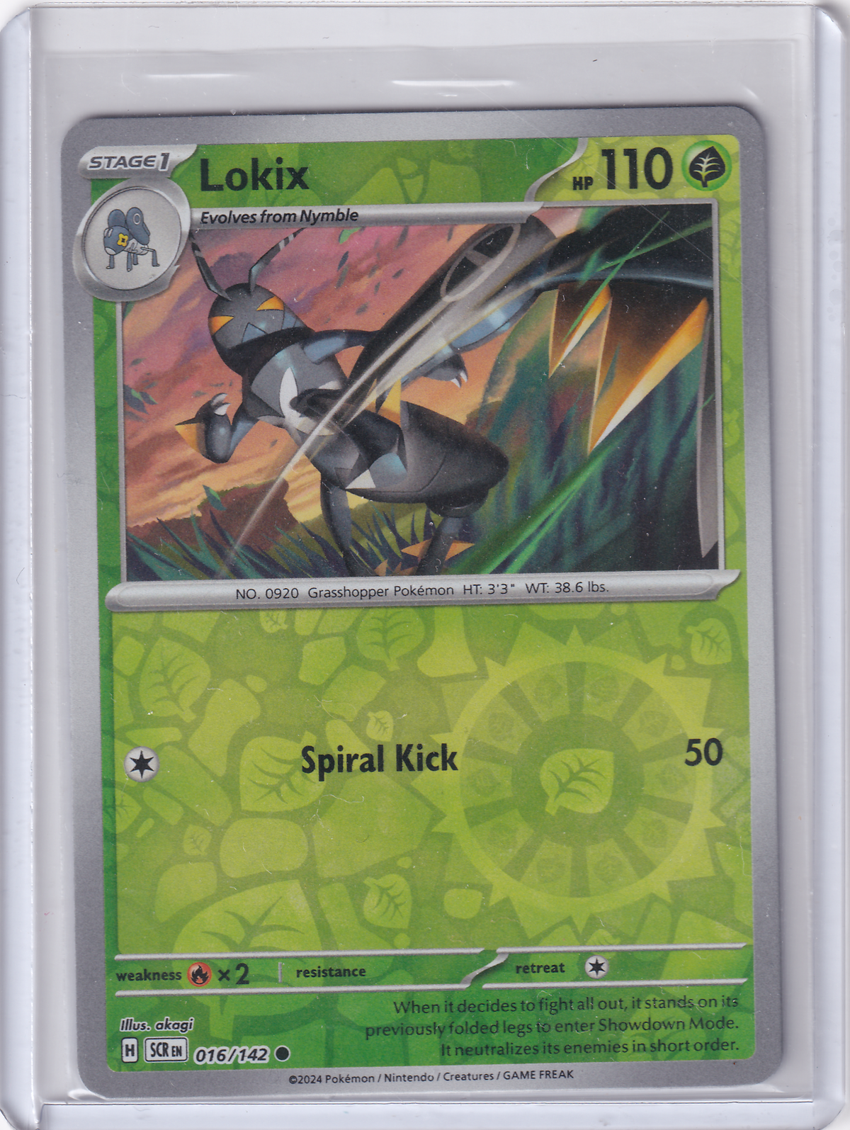 #016 Lokix