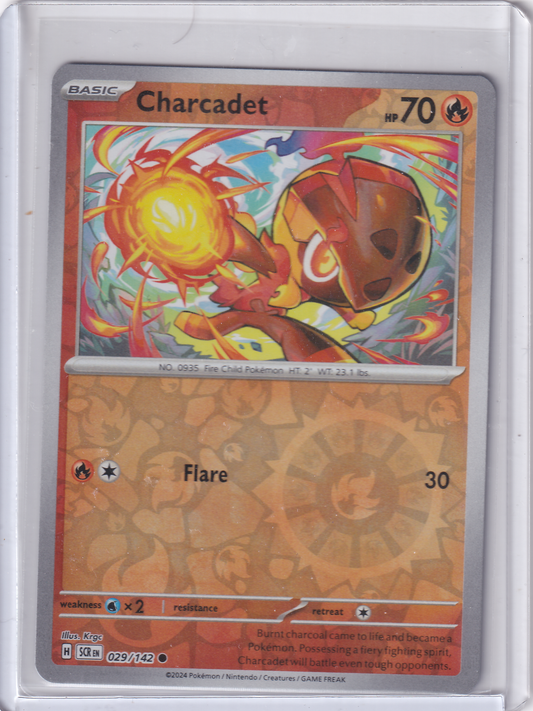 #029 Charcadet