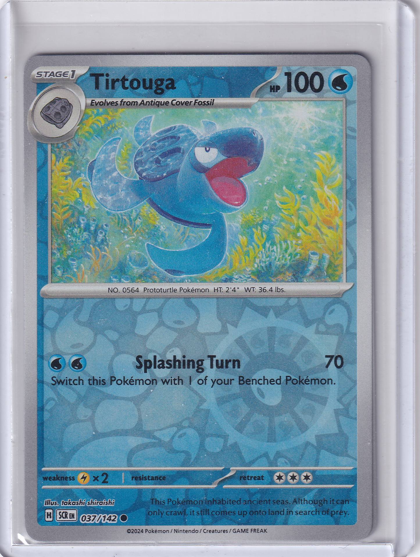#037 Tirtouga