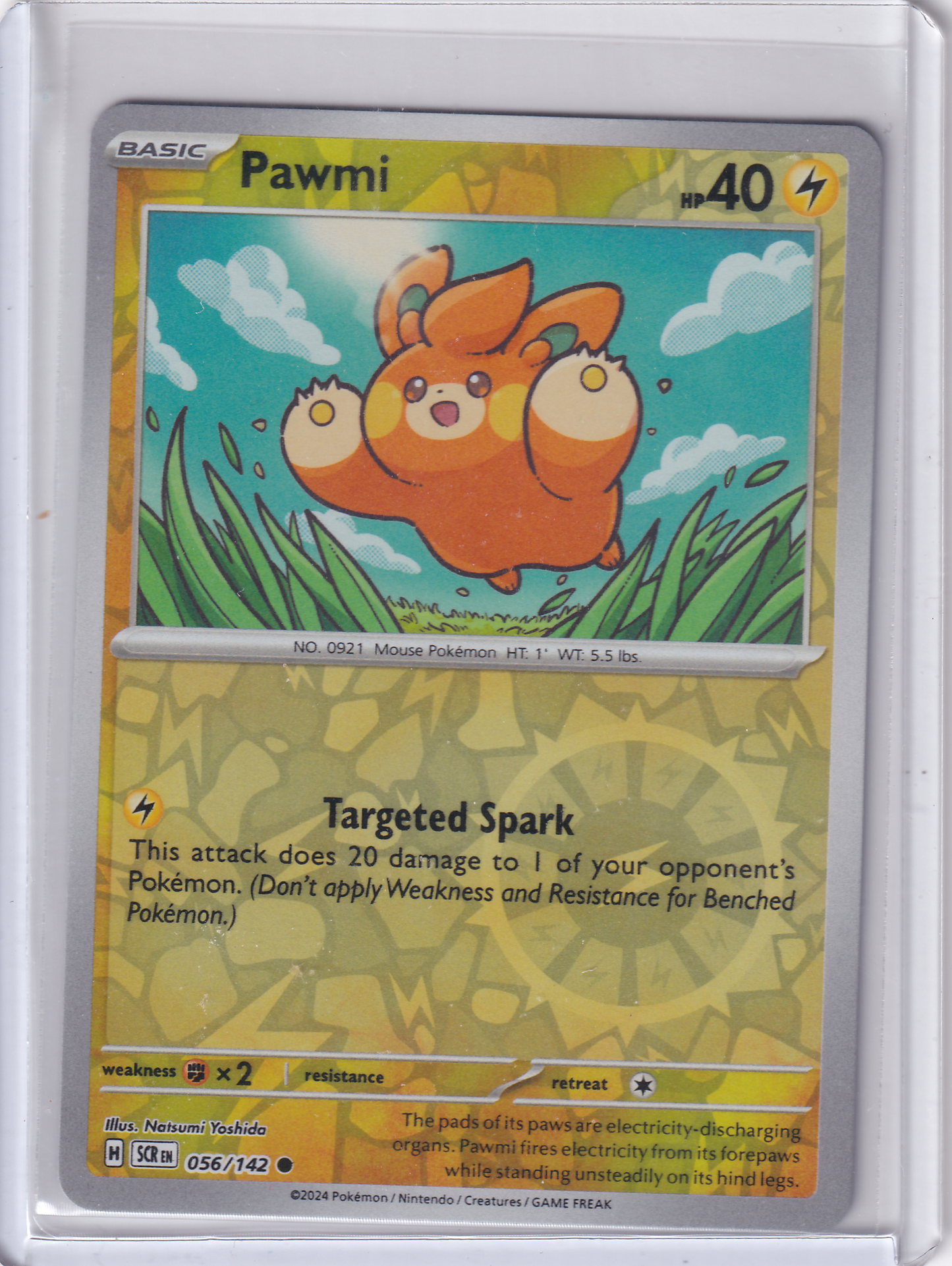 #056 Pawmi