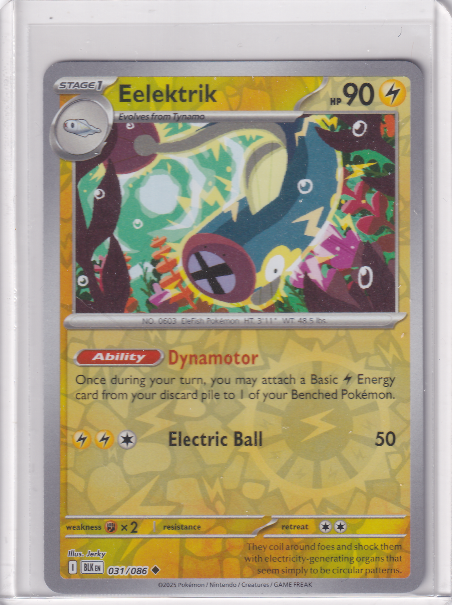 #031 Elektrik