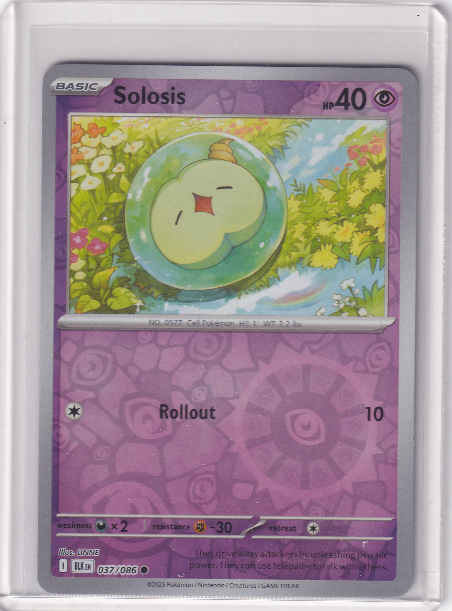 #037 Solosis