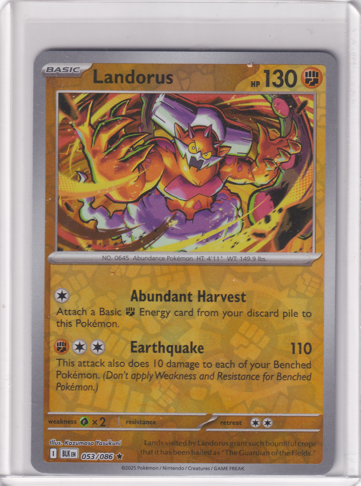 #053 Landorus