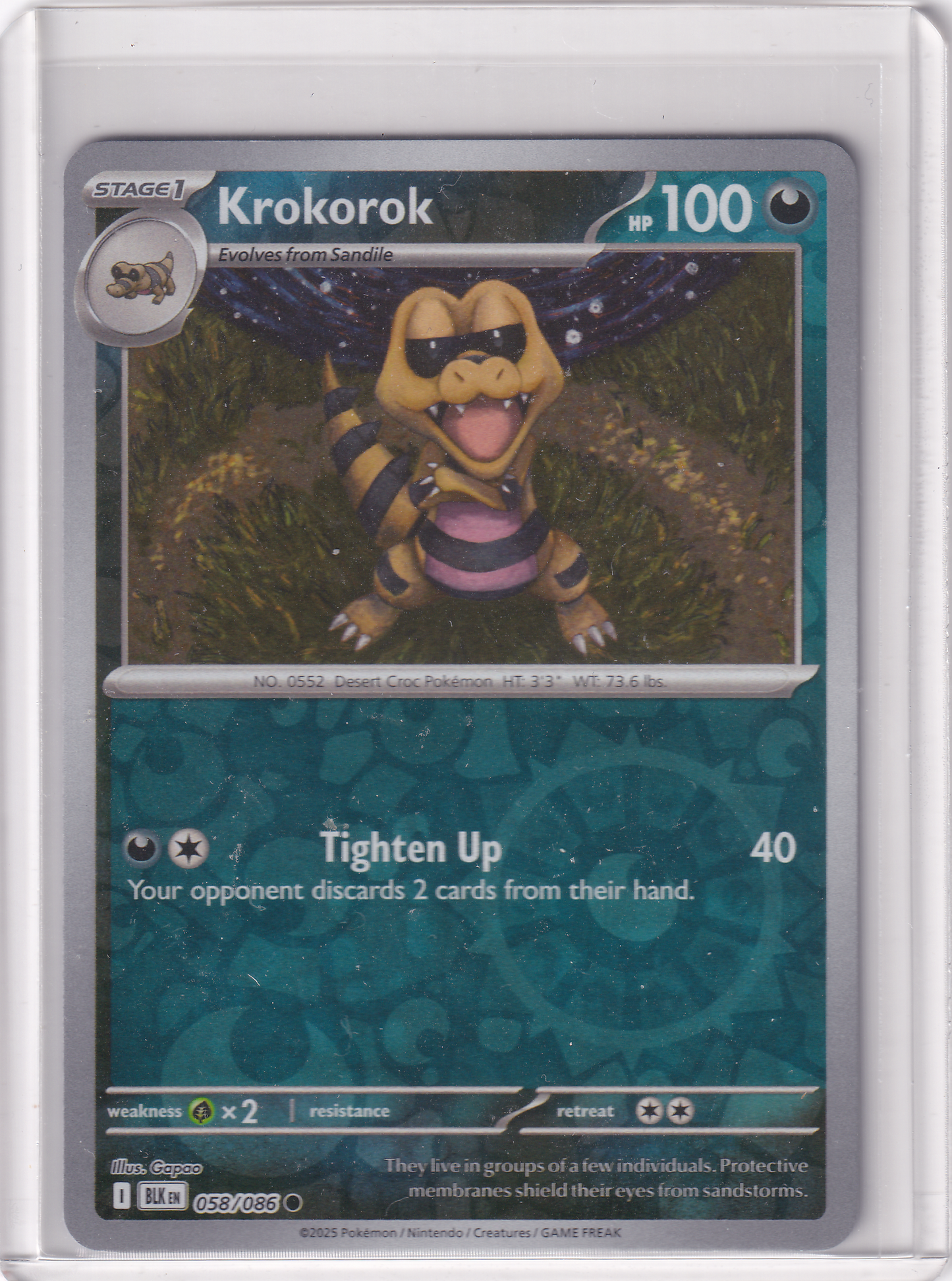 #058 Krokorok
