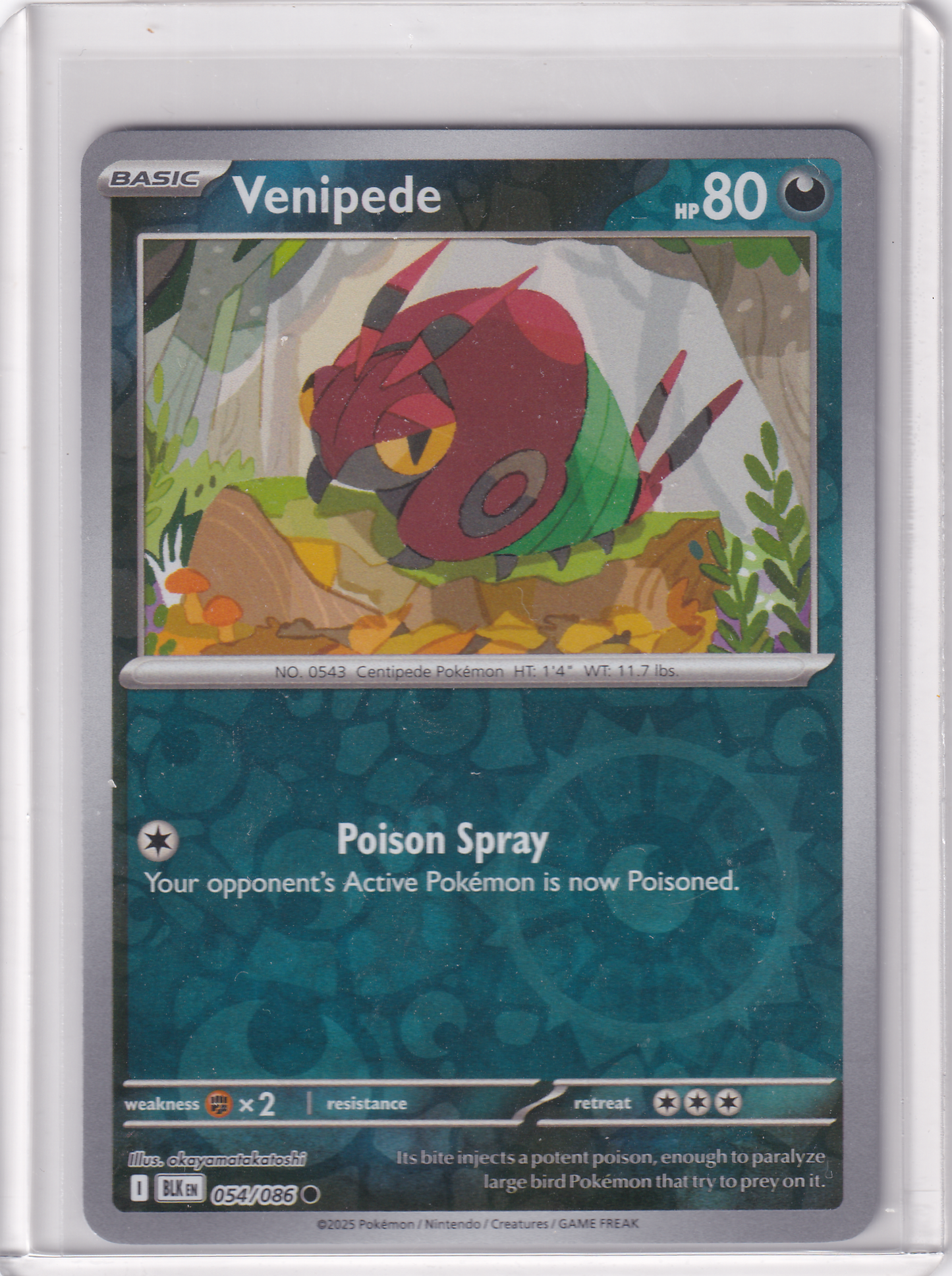 #054 Venipede