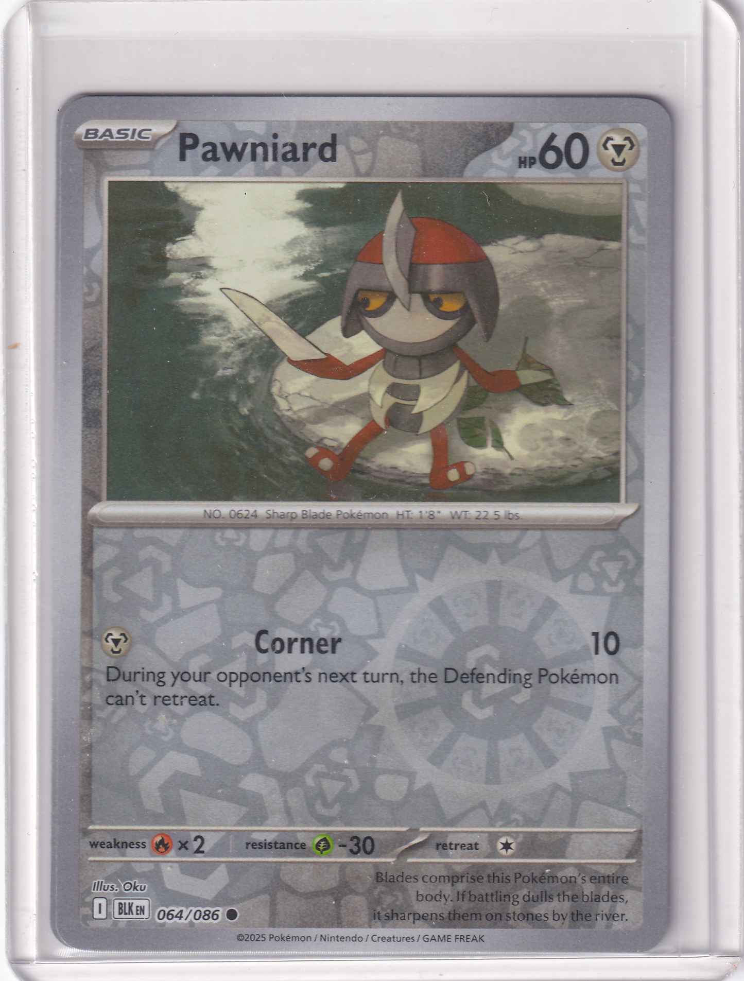 #064 Pawniard