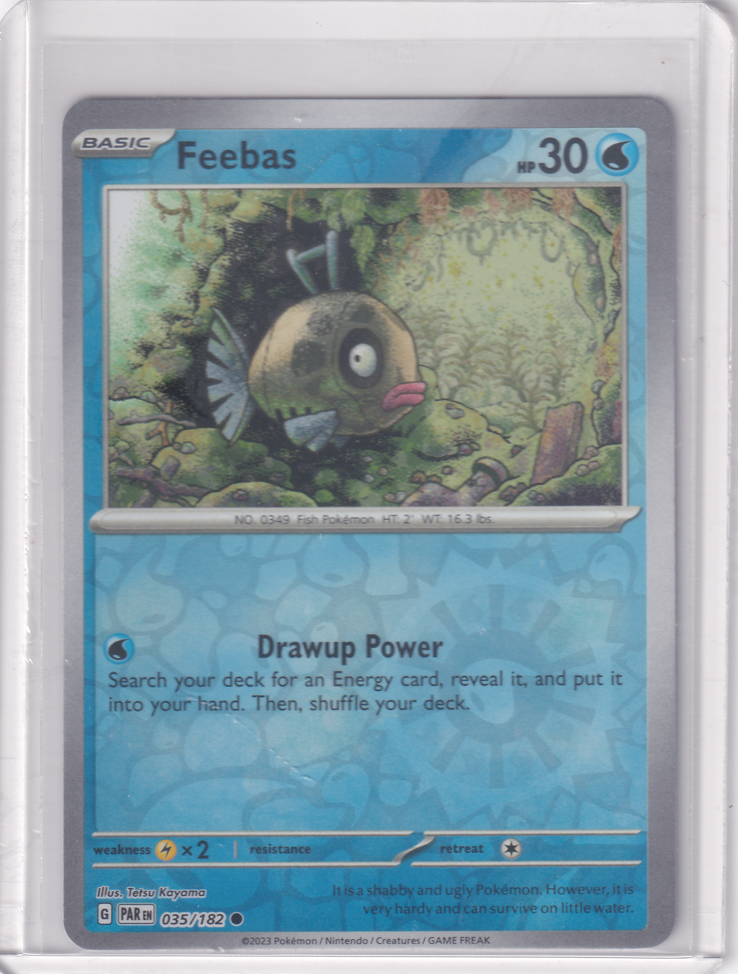 #035 Feebas